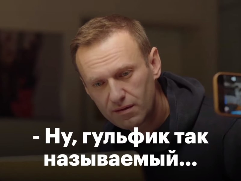На фото Алексей Навалальный, а снизу цитата из его диалога с предполагаемым отравителем: "-Ну, гульфик так называемый"