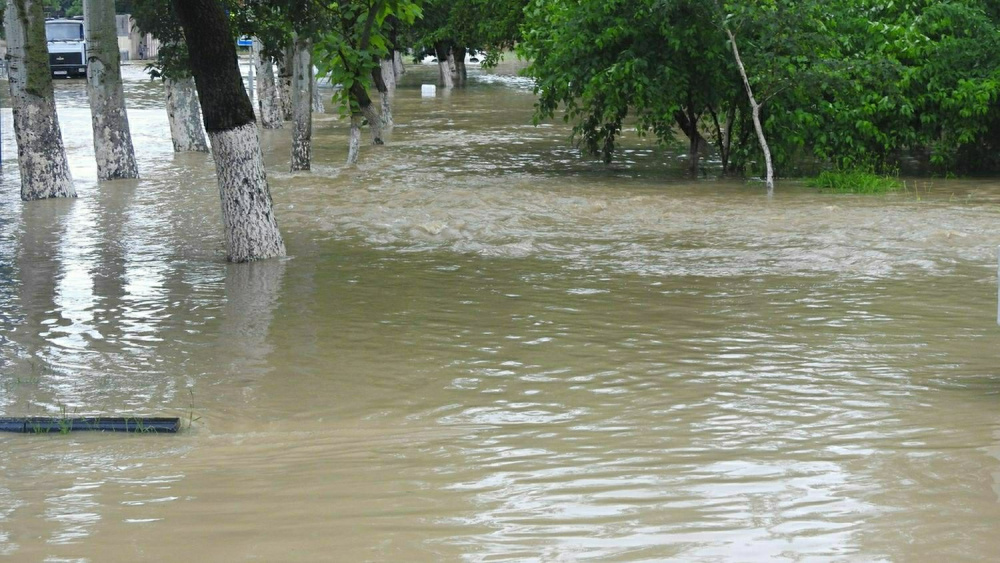 "Я плыву на Ларгусе!" Видео потопа в Ялте из-за сильнейшего за 100 лет ливня появилось в сети