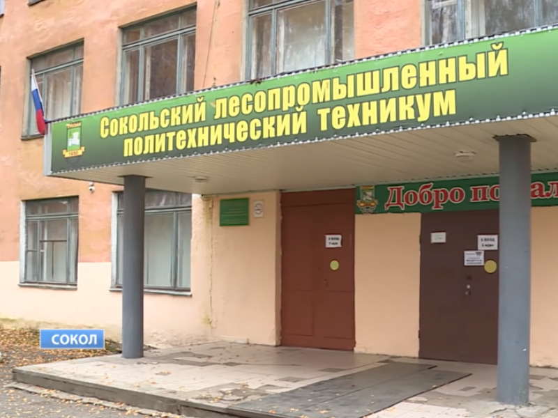 Директора техникума в Вологодской области уволили из-за избиения сироты в его учреждении