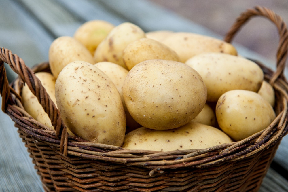«Была картошечка простая, а стала – золотая»: в сети оценили новость о нехватке картофеля в стране