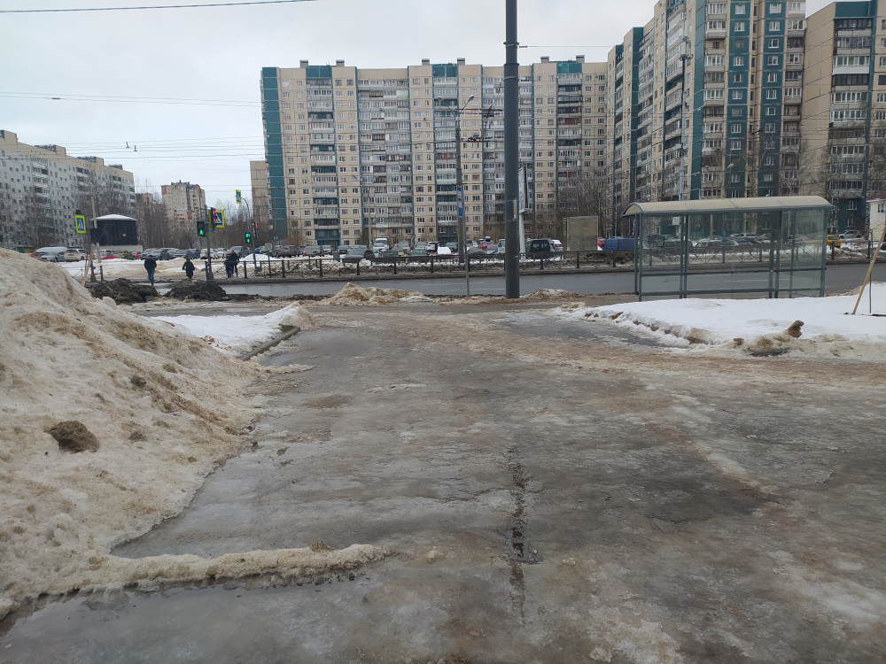 В Петербурге жители не дождались властей и сами закупили песок от гололеда