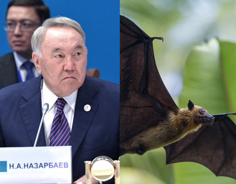 В Казахстане отменили пожизненное председательство Назарбаева, в ЮАР обнаружили новый коронавирус: главное к 27 января