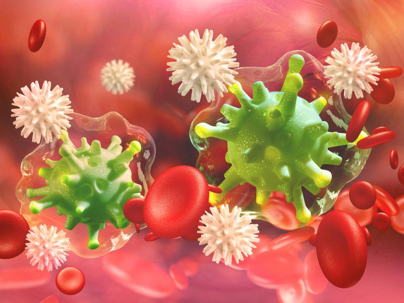 Пять главных загадок человеческого иммунитета 